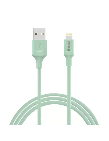 Câble iPhone, iPad, AirPod - Lightning vers USB type A - Charge et ...