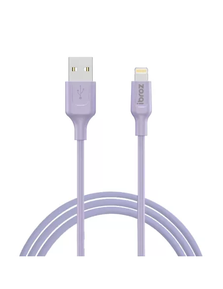 Câble iPhone, iPad, AirPod - Lightning vers USB type A - Charge et ...