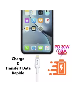 iPhone cable 2
