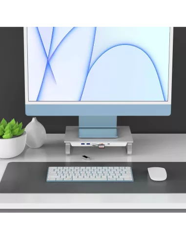 Hub USB-C avec double boîtier disque dur et support pour Mac et PC,...