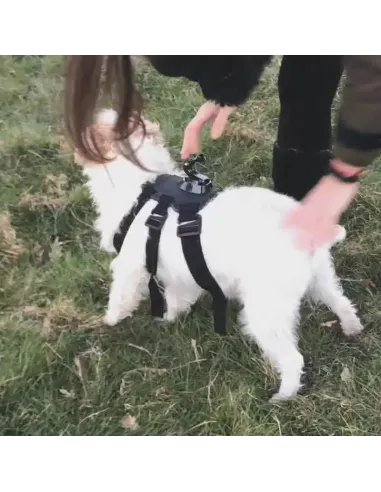 Harnais support Gopro pour chien + Adaptateurs | Ibroz