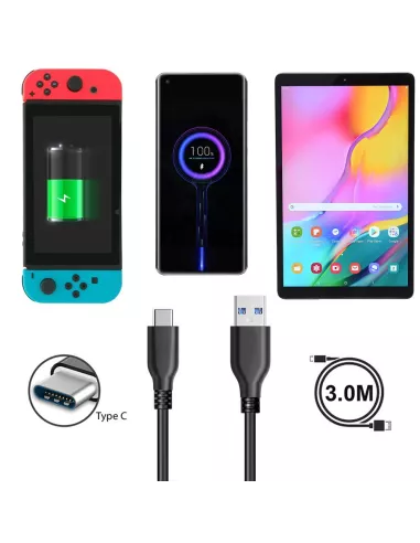 Câble USB-C Transfert et Charge pour Nintendo Switch/Switch OLED/Li...