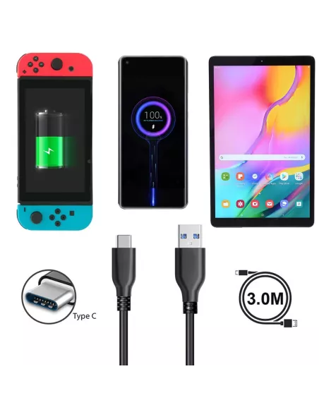 Câble USB-C Transfert et Charge pour Nintendo Switch/Switch OLED/Li...