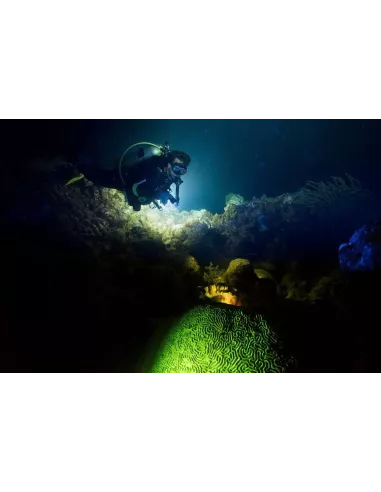 Diving torch 80m 3 Leds (L2) extra powerful - 6000 Lm - Light...