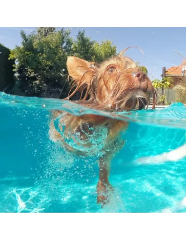 Dôme caisson video Telesin pour GoPro Hero 5-6-7 | Ibroz
