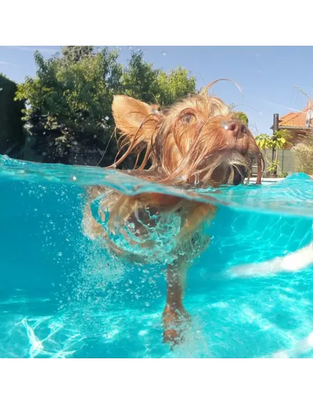 Dôme caisson video Telesin pour GoPro Hero 5-6-7 | Ibroz