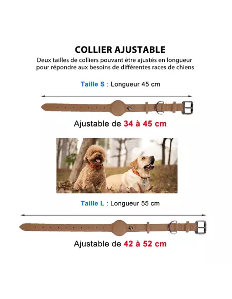 Collier de suivie pour Chien Compatible MiTag & AirTag Noir (Taille...