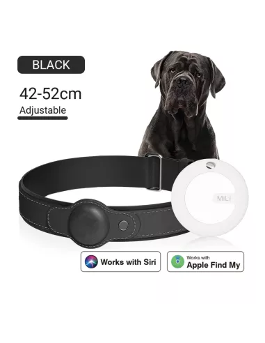 Collier de suivie Cuir pour Chien + Traqueur MiLi MiTag Anti-Perte ...