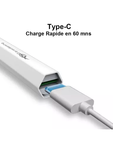 2-in-1 Precision Stylus for ROG Ally - Precision, Versatility and...