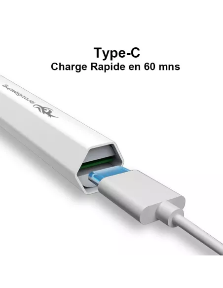2-in-1 Precision Stylus for ROG Ally - Precision, Versatility and...