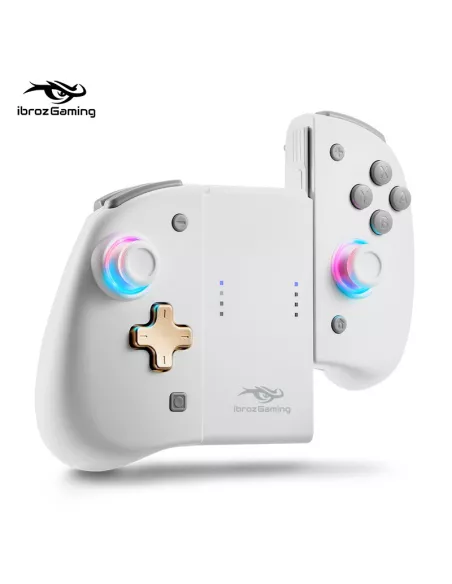 copy of Contrôleur filaire ergonomique avec Gyro 6 axes pour Nintendo Switch/OLED