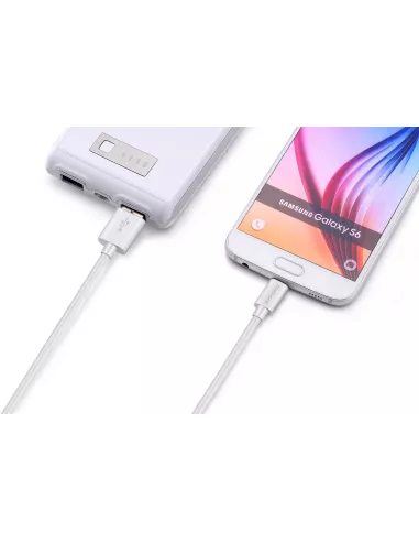 Câble Micro USB vers USB Charge et Transfert Data | Ibroz