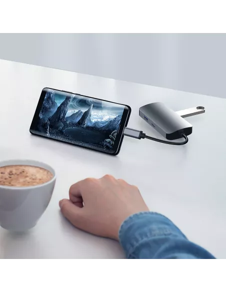 5 in 1 Hub TIGER 5 - USB C to PD Charge + 4 USB 3.0 Ports | Ibroz
