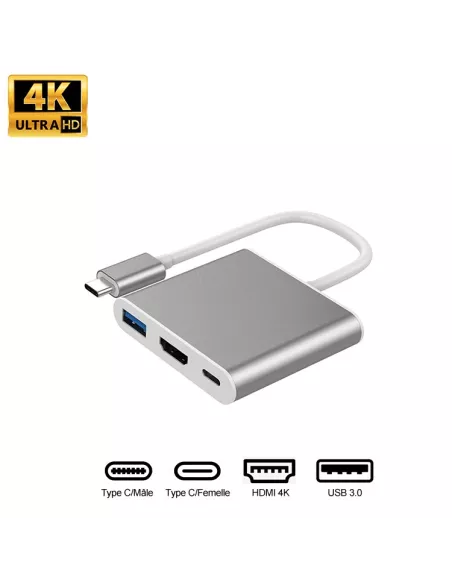 Adaptateur Video HDMI / USB-C + 1 Port USB-C + 1 Port USB 3.0 | Ibroz